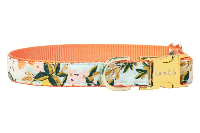 soft cat cave bed enclosed-Sweet Clementines Dog Collar