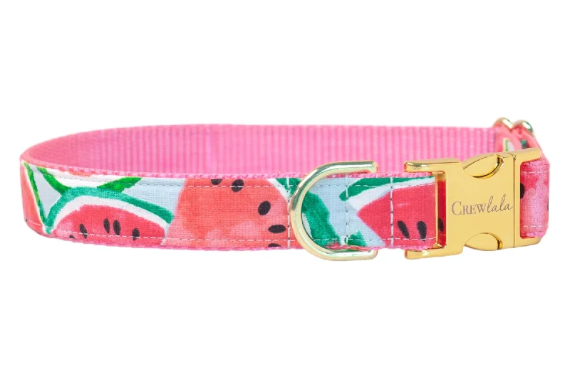 cat ear cleaner gentle solution-Watercolor Watermelon Dog Collar