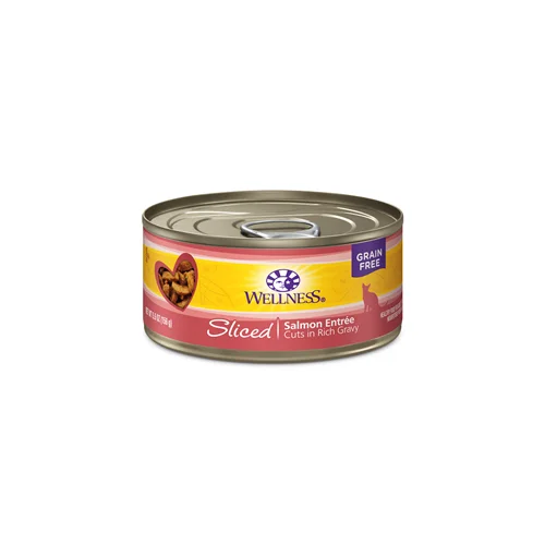 interactive dog toys for large dogs-Wellness Grain Free Sliced Salmon Entree Canned Cat Food