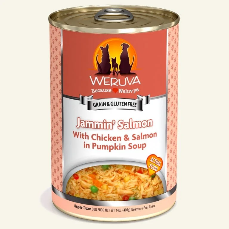 dog agility training equipment-Weruva Jammin Salmon Dog Cans