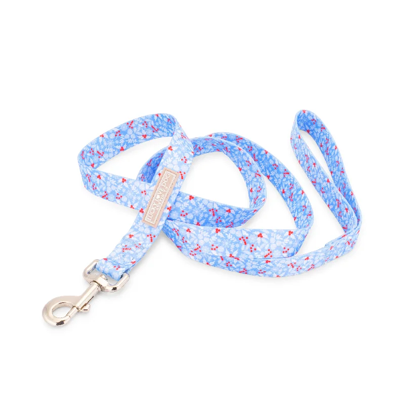 eco-friendly biodegradable poop bags-Winter Blue Leash Wholesale